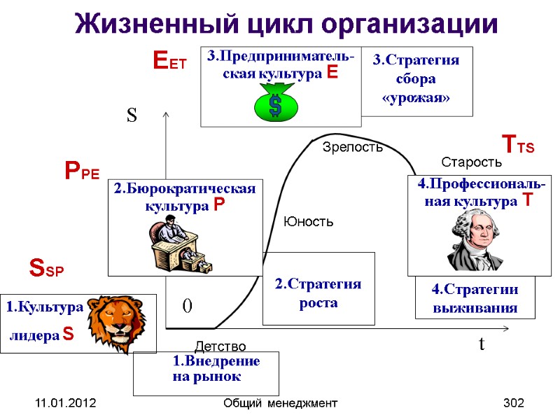 11.01.2012 Общий менеджмент 302 Жизненный цикл организации SSP PPE EET TTS